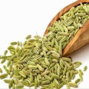Europe Quality Fennel Seeds