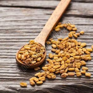 FAQ Sortex Fenugreek Seeds