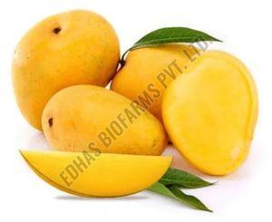 Fresh Badami Mango