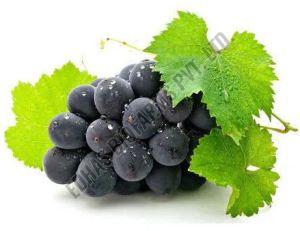 Fresh Black Grapes
