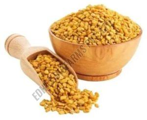 Natural Fenugreek Seeds