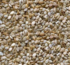 Natural Sesame Seeds