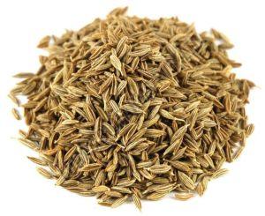 Premium Cumin Seeds