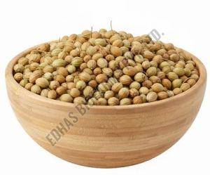 Scooter Coriander Seeds