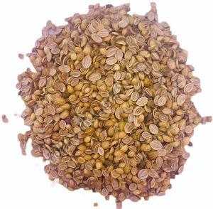 Split Coriander Seeds