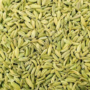 Uk Quality Fennel Seeds