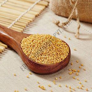 Yellow Mustard Seeds