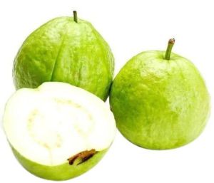 Fresh White Guava