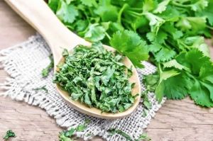 Dried Coriander Leaves