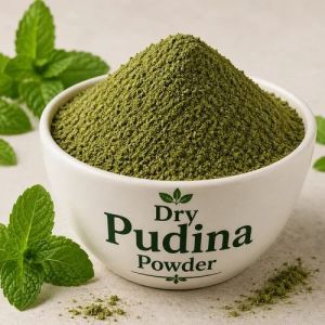 Dry Mint Powder
