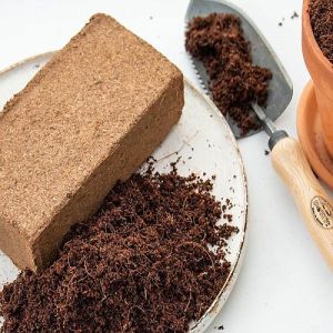 650 Gm Coco Peat Bricks