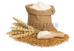 Organic Wheat Flour