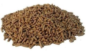 Buffalo Feed Pellets