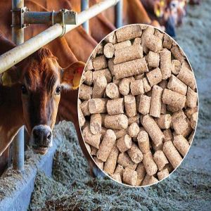 Cattle Feed Pellet