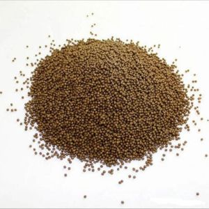 Floating Fish Feed