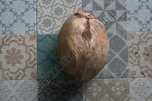 Dry Husk Coconut