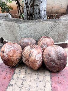 Dry Husk Coconut