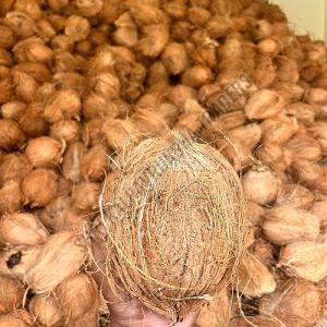 Semi Husked Coconut