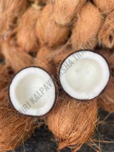 Semi Husked Coconut