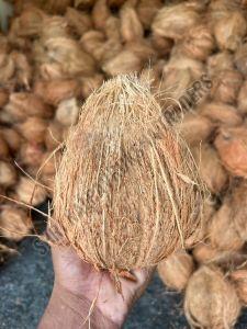 Semi Husked Coconut