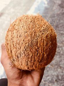 Semi Husked Coconut