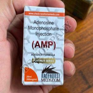 AMP 200mg Injection