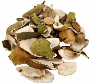 Dried Mosambi Peel