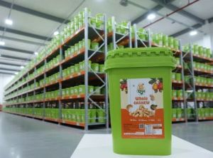 W240 Konkan Cashew Nuts