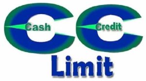 Business Credit Limit Enhancement Service