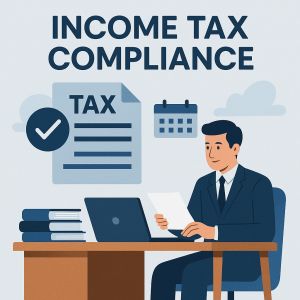 Business Tax Compliance Management Service