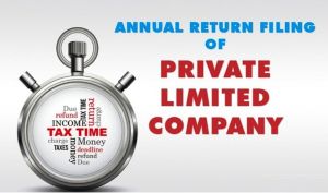 Company Annual Compliance Filing Service