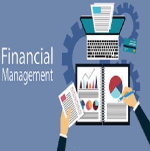 Financial Management Consulting Service
