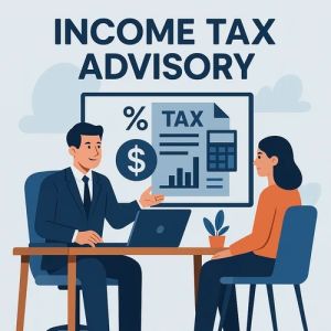 Income Tax Advisory Expert Service