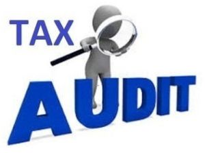 Tax Audit Filing Service