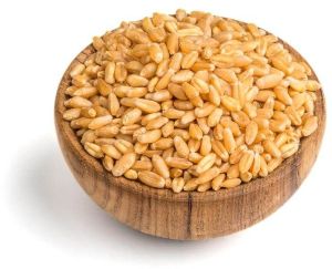 Natural Whole Wheat Grain
