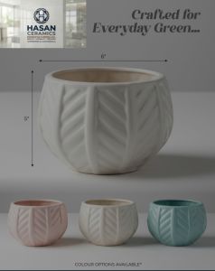 Ceramic Indoor Planter