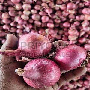 Nashik Fresh Pink Onion