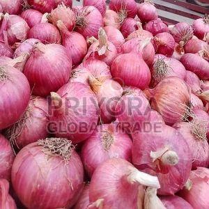 Organic Fresh Pink Onion