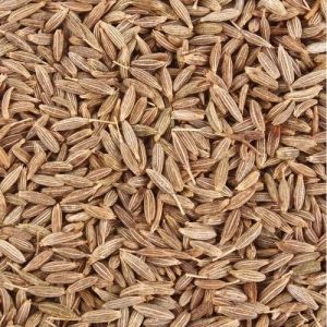 Cleaned Cumin Seeds