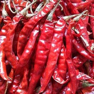 Premium Dried Red Chilli