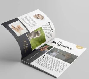 Magazine Printing Services