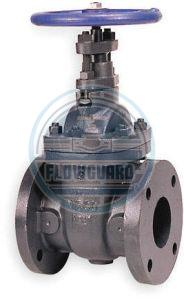 Cast Iron Gate Valve