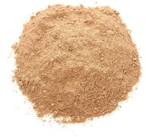 Amchoor Powder
