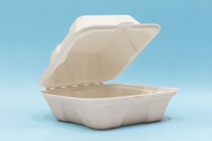6 Inch Bagasse Clamshell