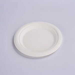 6 Inch Round Bagasse Disposable Plate
