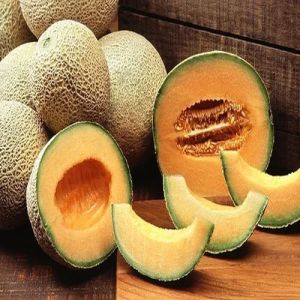 A Grade Fresh Muskmelon