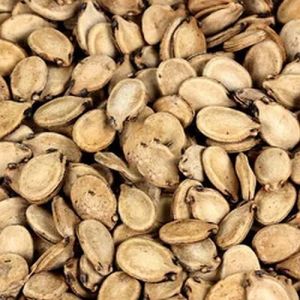 Organic Watermelon Seeds