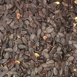 Hybrid Watermelon Seed