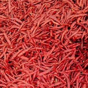 Teja Dried Red Chilli