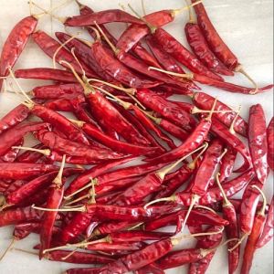 334 Sannam Dry Red Chilli Powder